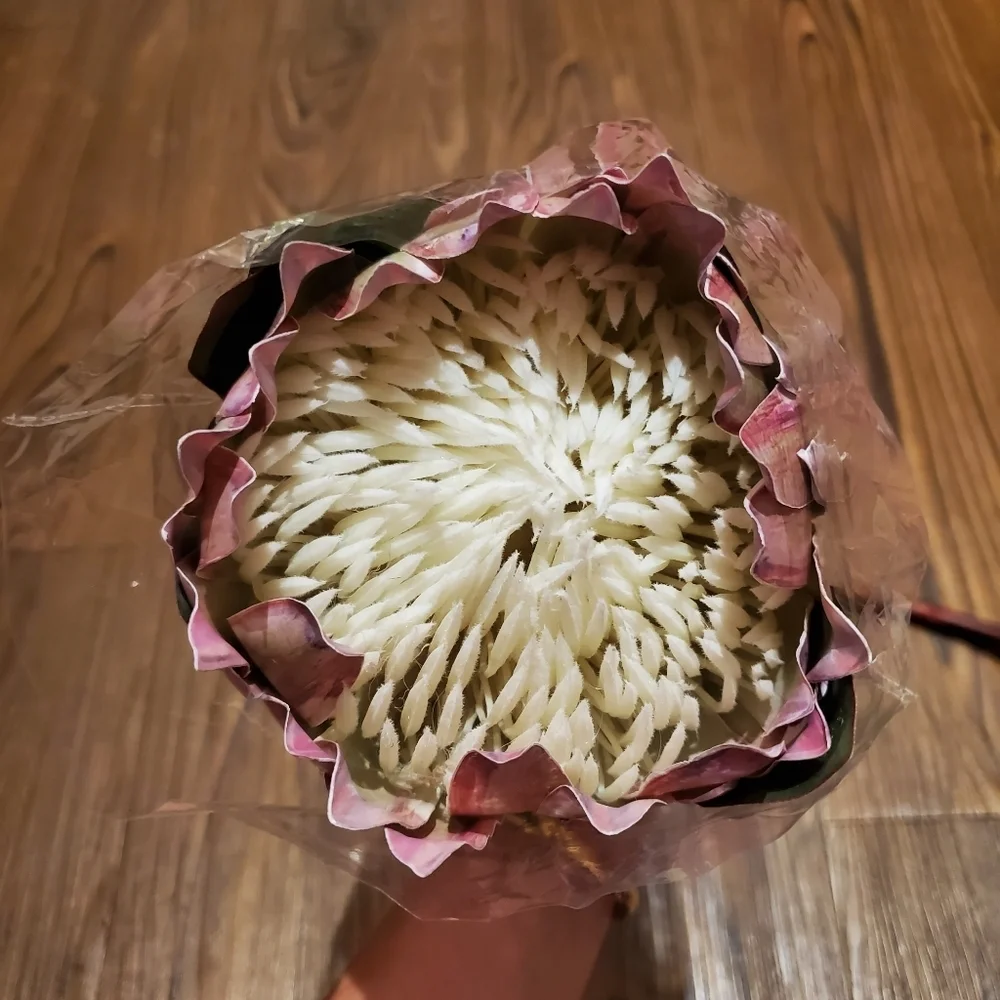 Calcifer The King Protea Cynaroides Artificial Flower Plant Garden Party Wedding